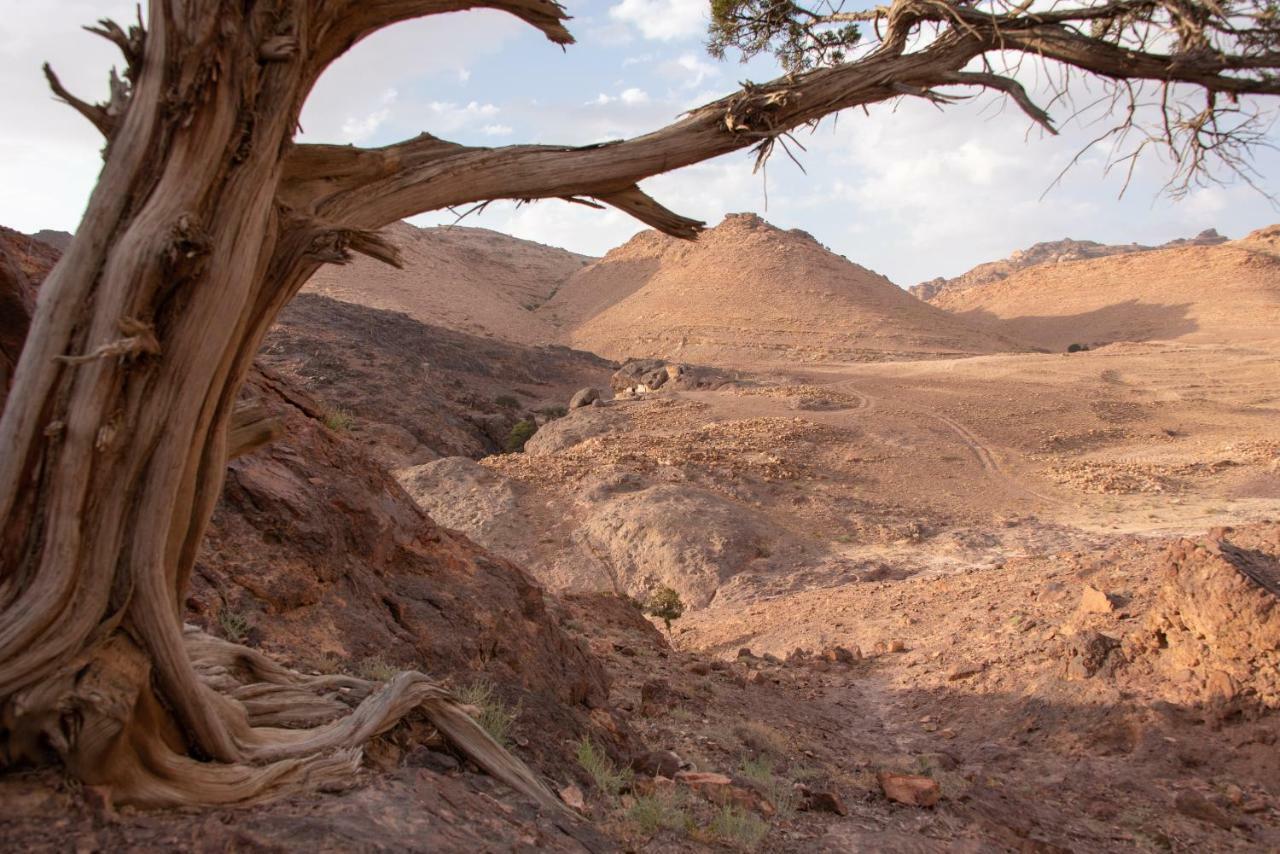 Bedouin Pink Ecohouse Bed and Breakfast Wadi Musa Exterior foto